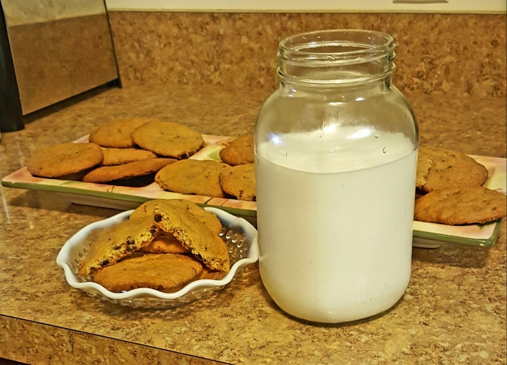 cookies and milk.jpg